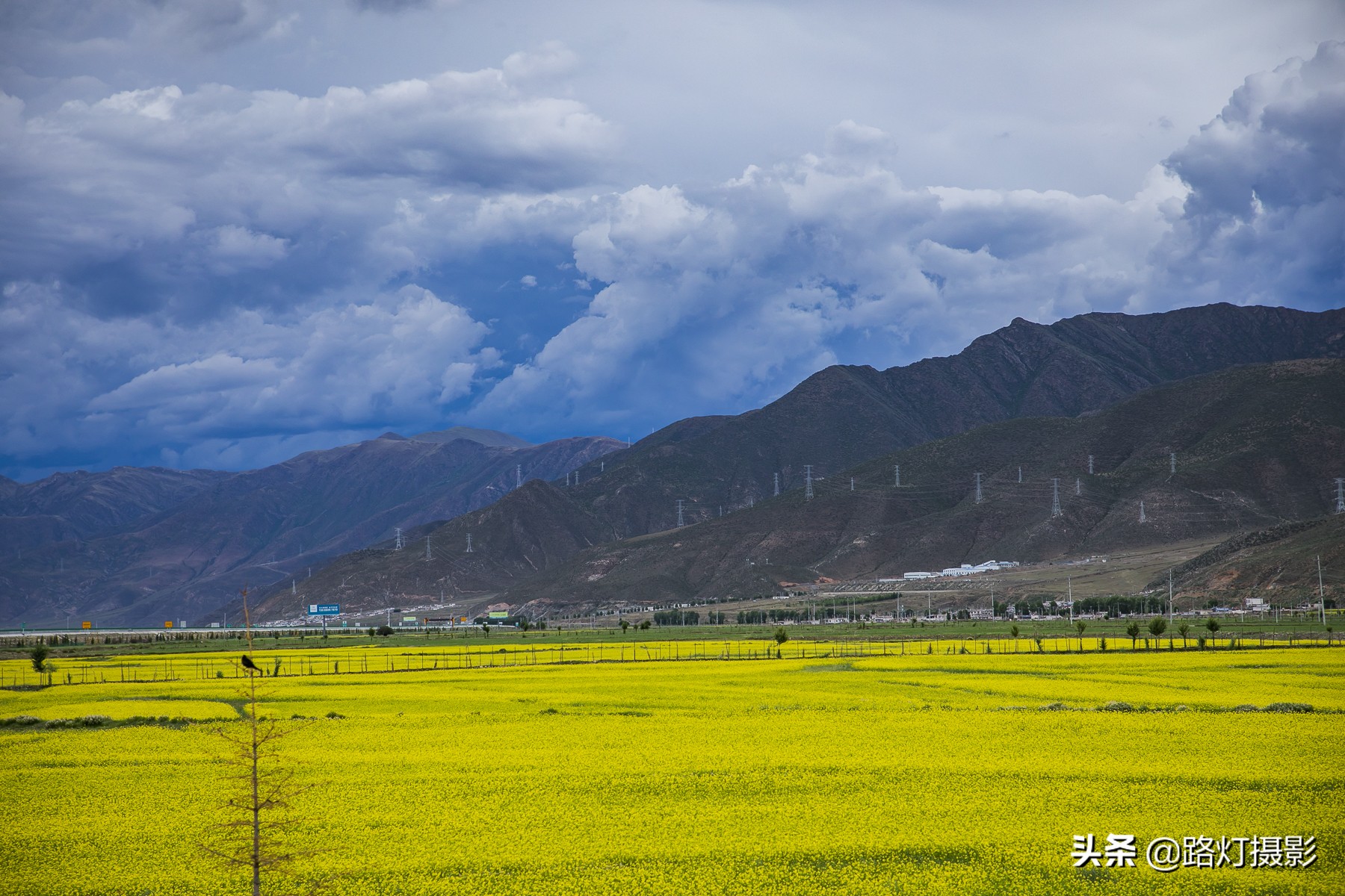 国内七大避暑圣地享受18度的夏天,中国六个超凉快的避暑胜地