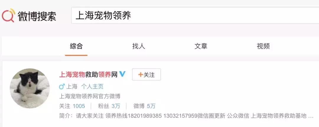 交易猫被央视曝光,收养流浪狗的真实记录