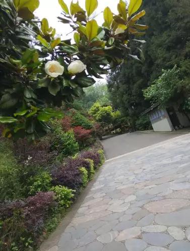 跟着我去丽江古城旅游攻略,跟我去旅行