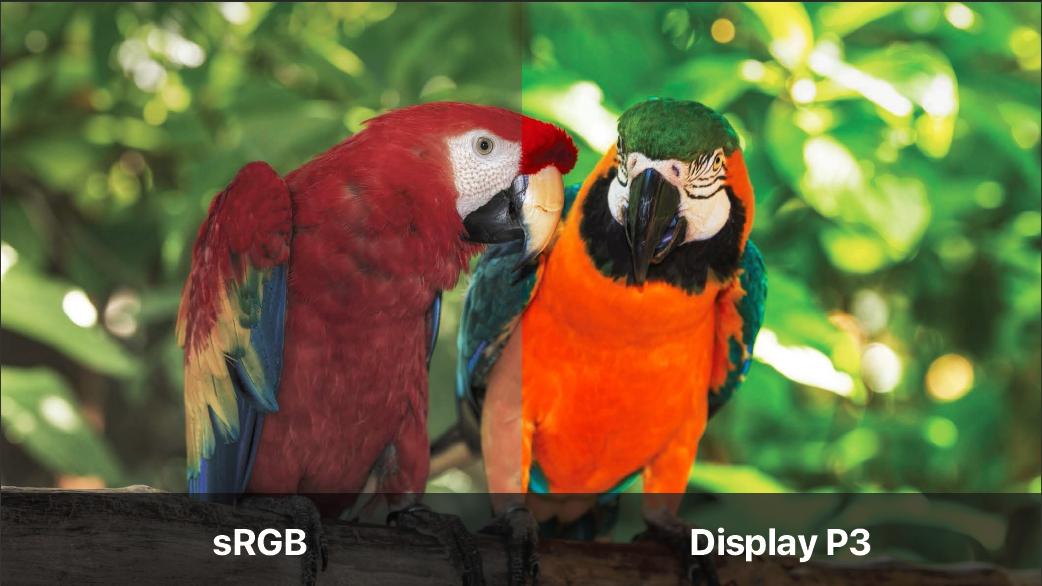 显示器参数简单科普,显示器知识基础讲解