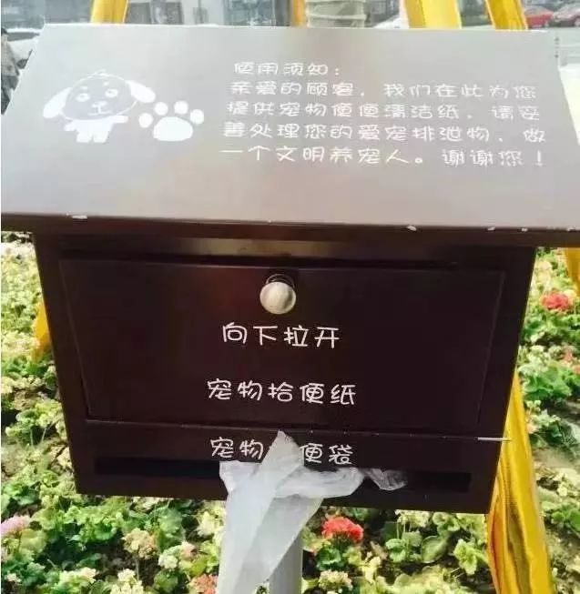 宠物比人吃得好,宠物比人金贵系列