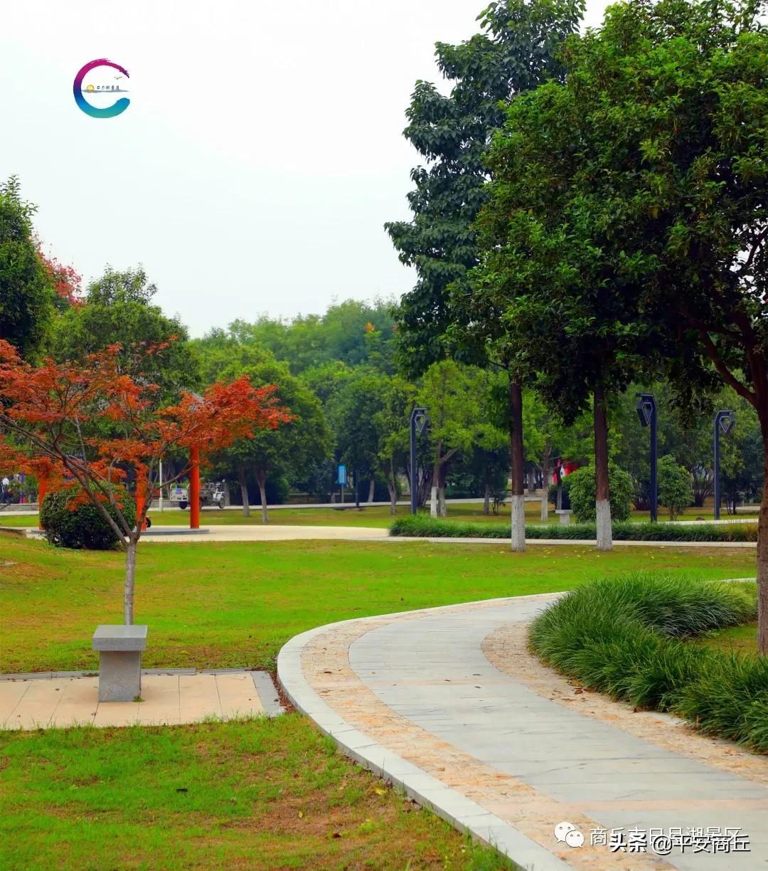 商丘日月湖景区初冬美景惹人醉,商丘市日月湖风景视频