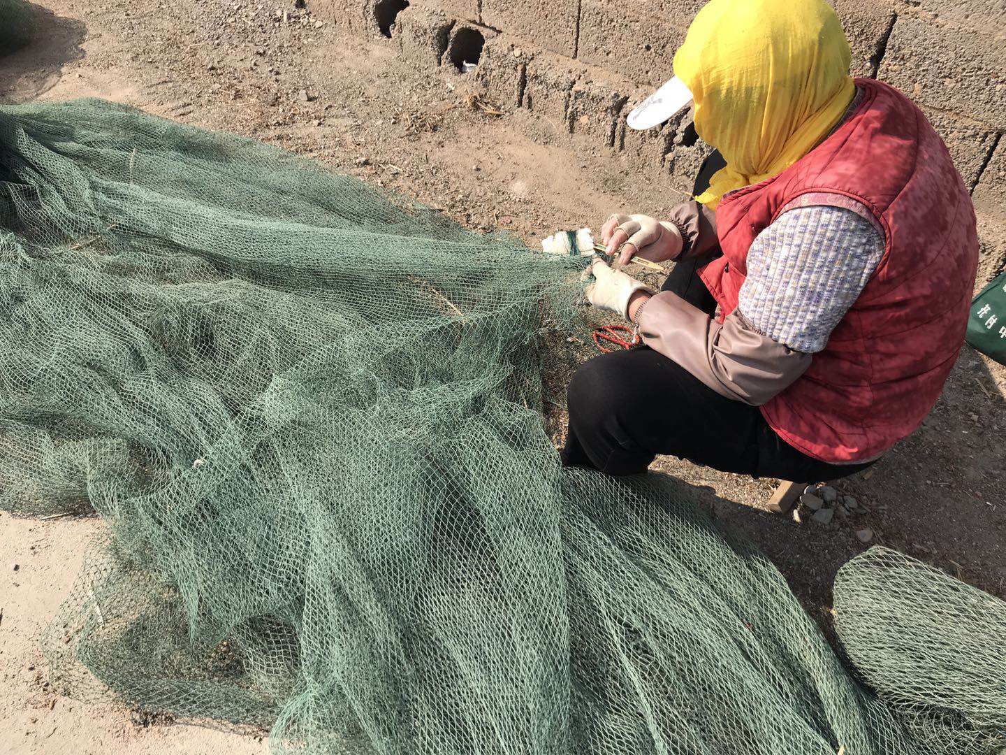 在海边做什么工作赚钱,海边工作也是一种乐趣