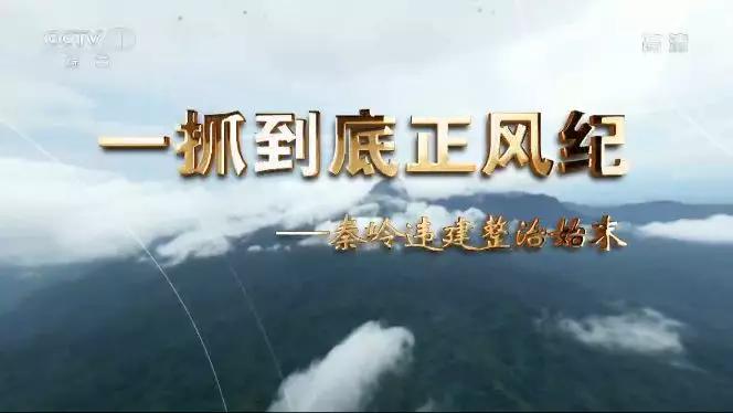 聂仲秋判决几年,聂仲秋职务