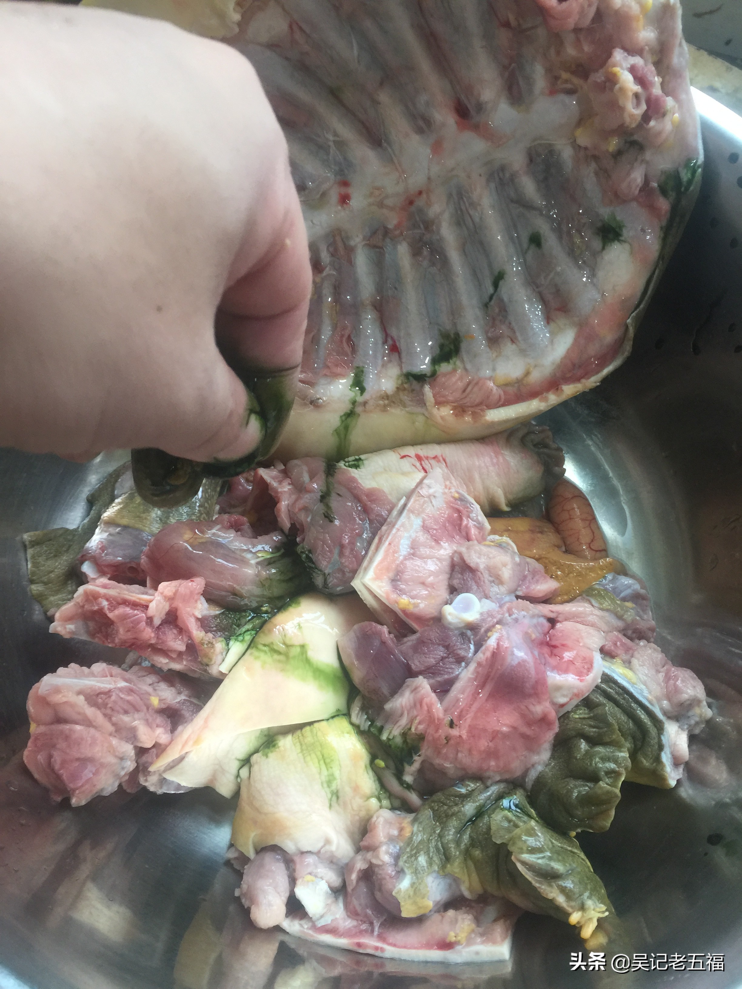 甲鱼排骨做法红烧,大师的菜红烧甲鱼