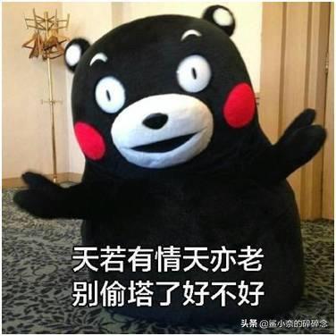 粉丝节偷塔分析,粉丝偷塔