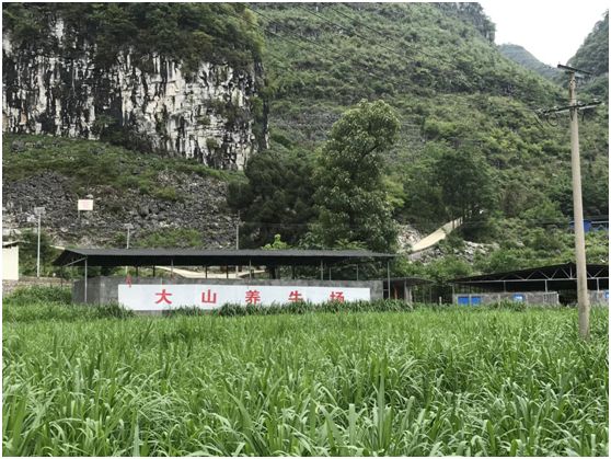 脱贫攻坚乡镇变化,贫困县脱贫摘帽变化