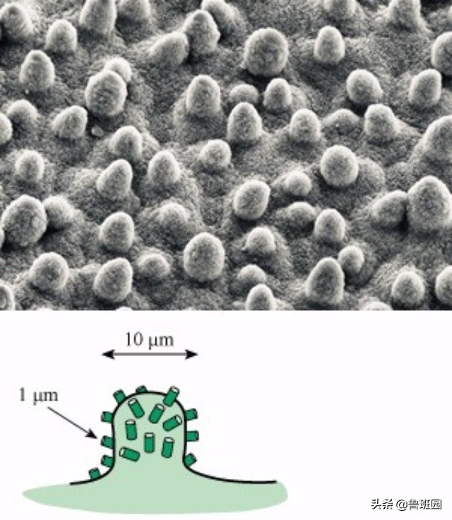 中国布艺艺术特色有哪些,布艺艺术感悟