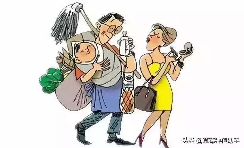 种草莓的都是好男人！转起来，让大家看到！