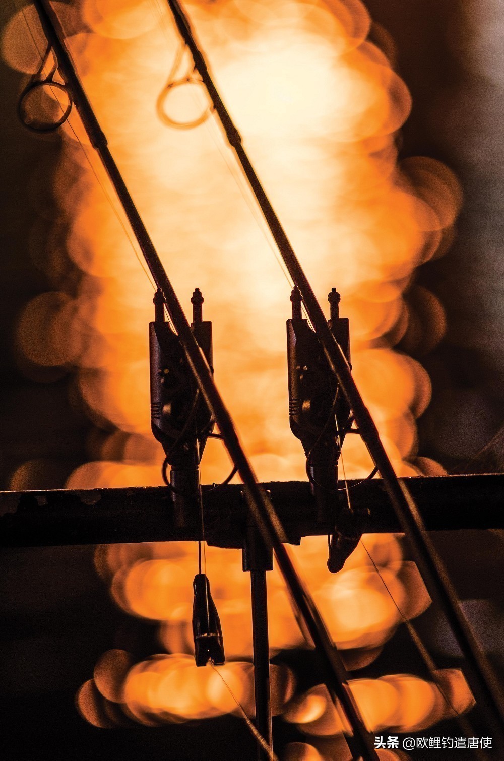 拉饵压几目浮漂好,怎样从浮漂判断饵的状态