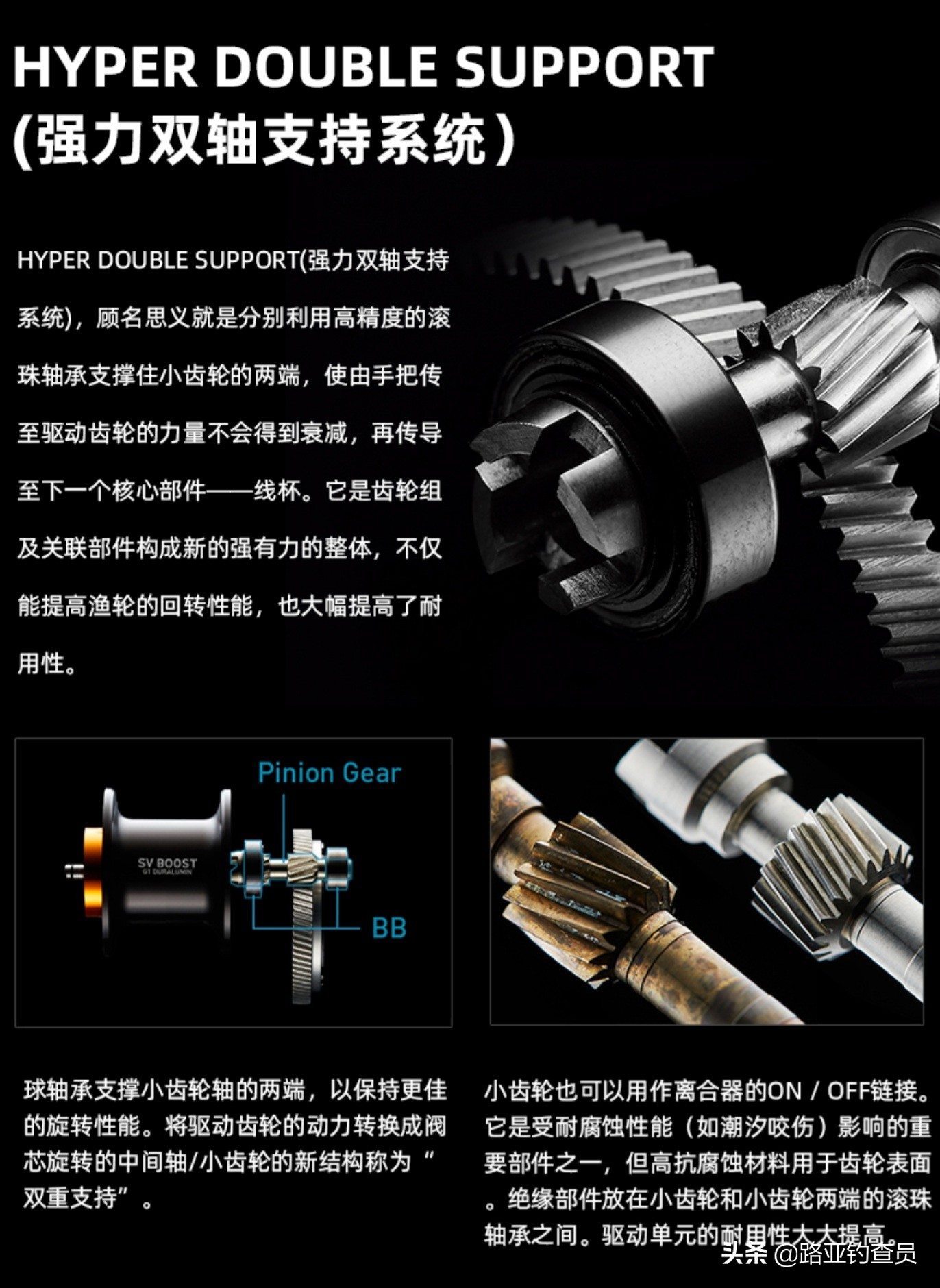 2021子龙sv国际版,2021款子龙sv官方发布价