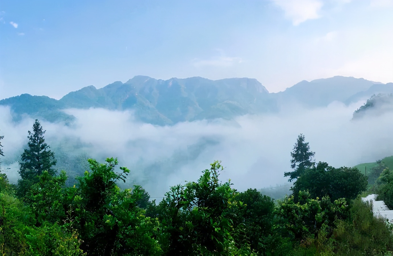 温州旅游攻略必去景点带孩子,温州游玩超详细攻略