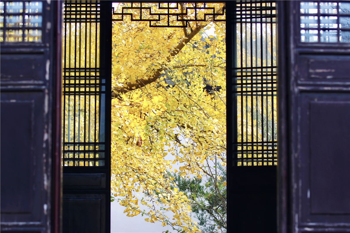 苏州秋天有什么好玩的,苏州秋天去哪里玩