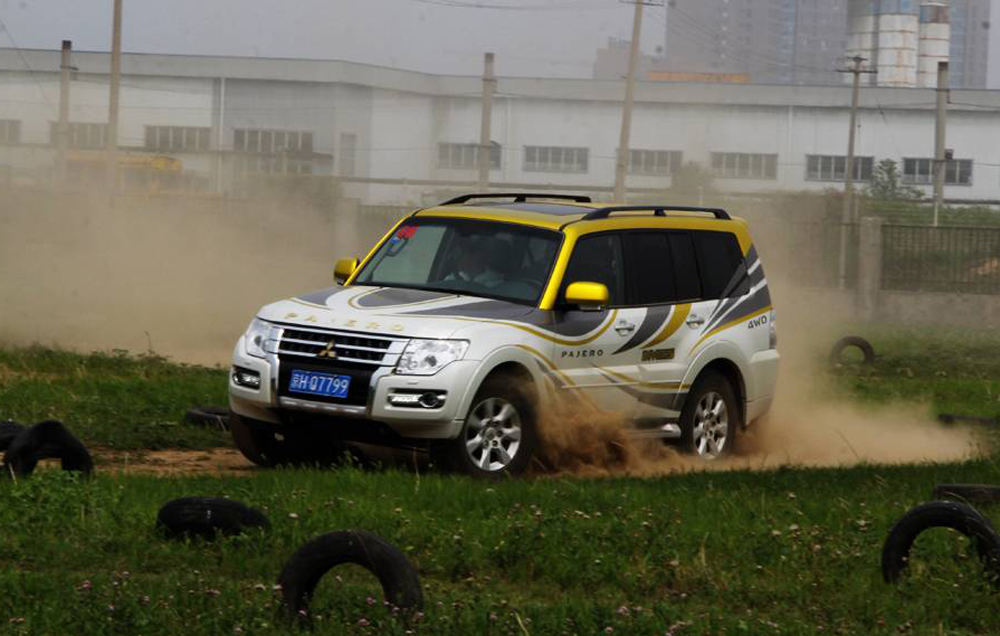 澶х嫍鐧界尗,澶х嫍鐧界尗瀹炶溅