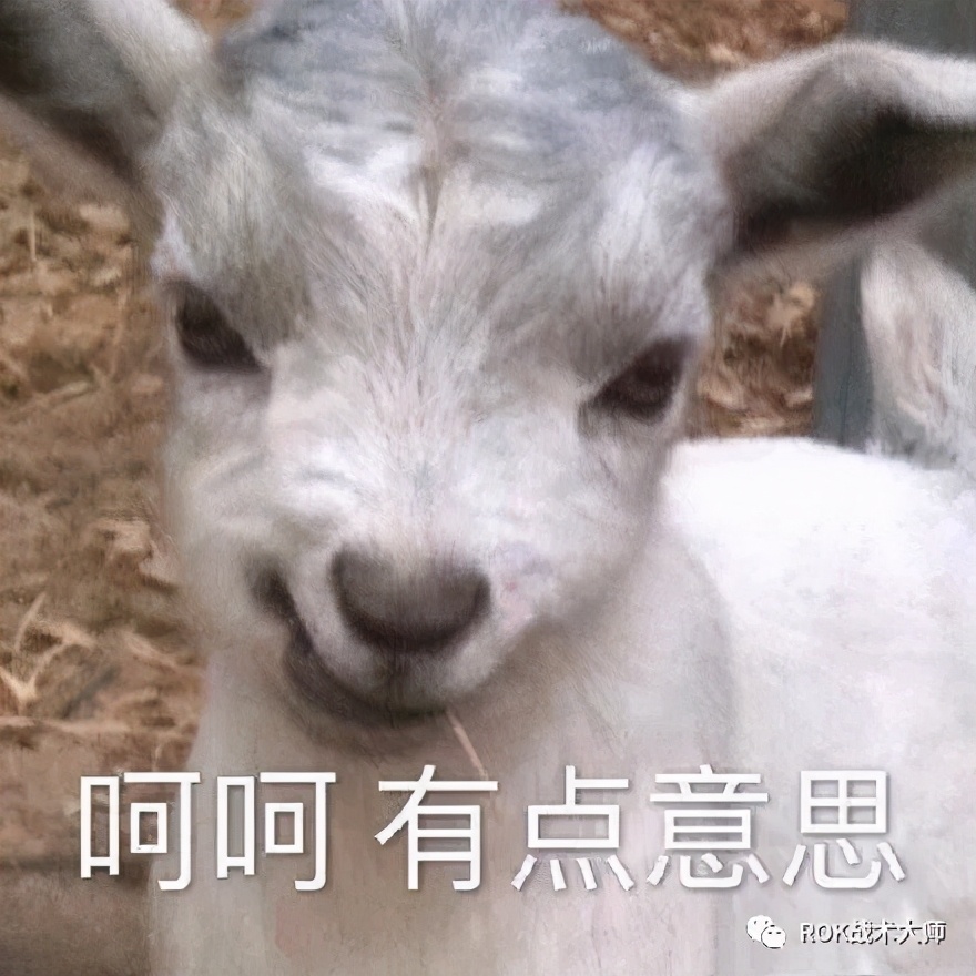 万国觉醒目前最恶心阵容,万国觉醒奥尔良助阵技能推荐