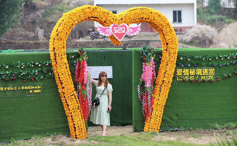 金堂鲜花山谷游记,金堂鲜花山谷蜀葵花盛放