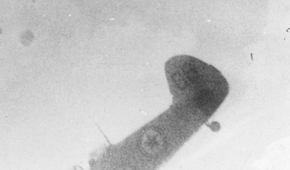 少数派行动报告,朝鲜战争空军作战记录