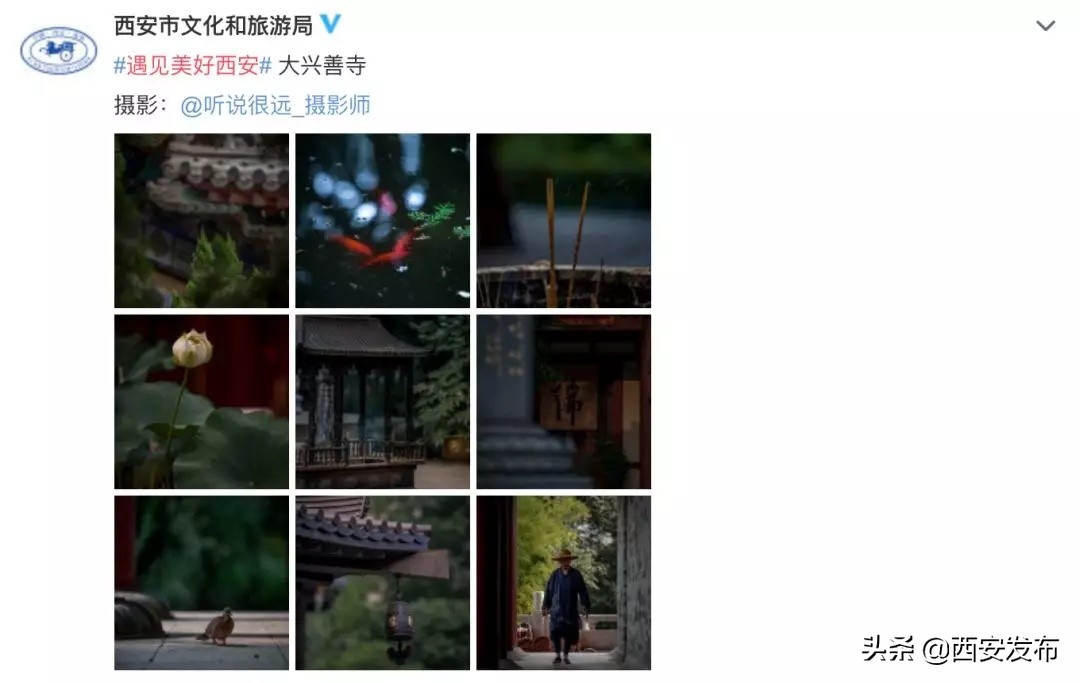 话题阅读量最多,话题阅读量破50