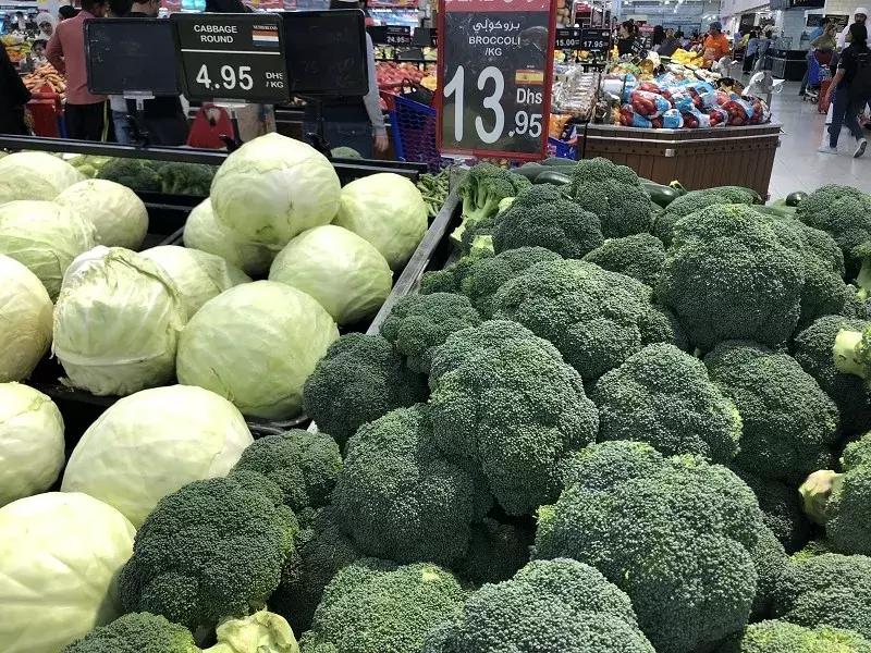 迪拜日常生活怎么样,在迪拜生活的感受