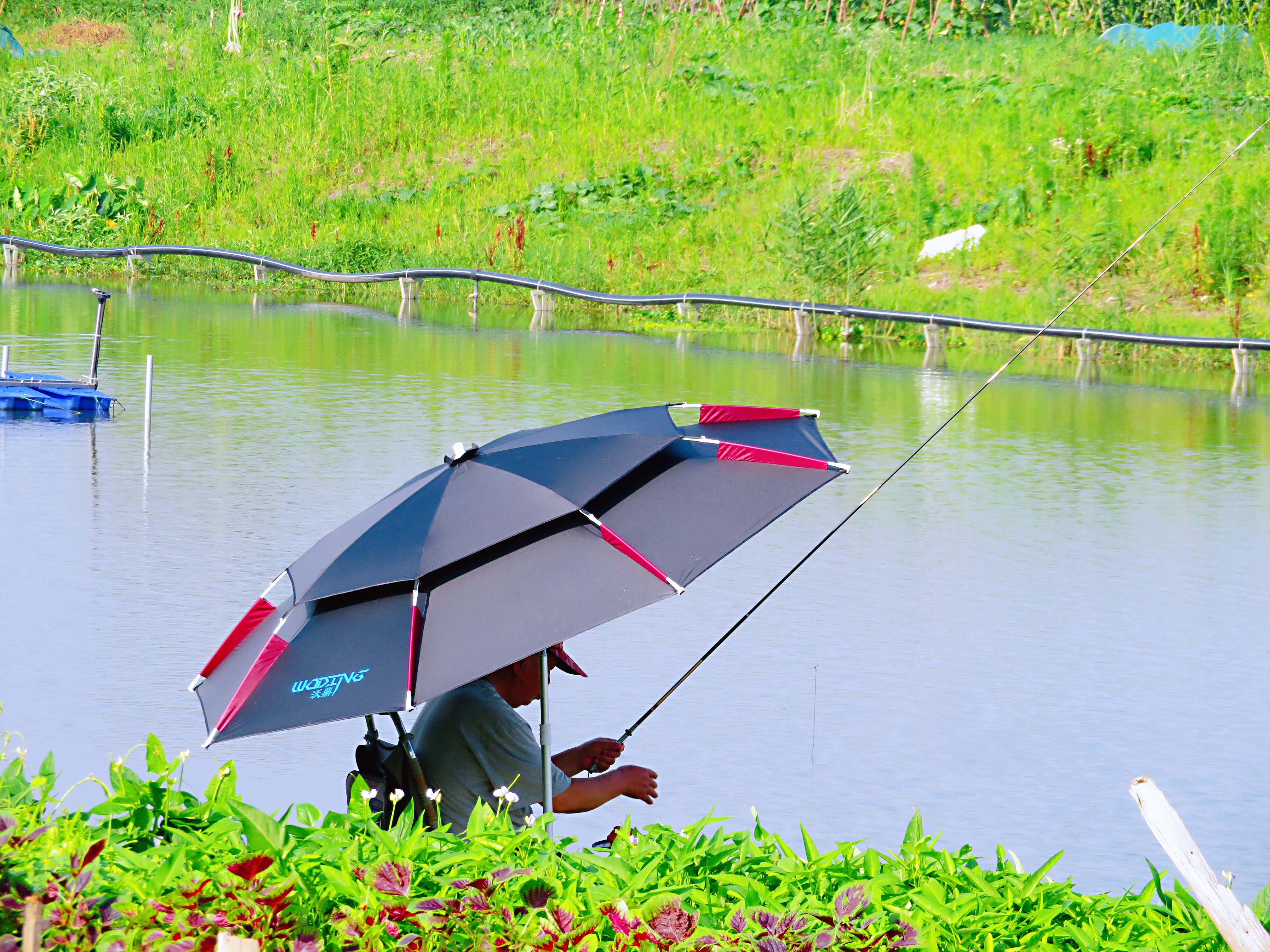 宁波附近野外游泳的地方有哪些,宁波哪里玩适合带小孩水上乐园