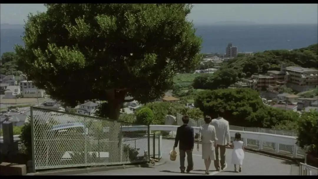 步履不停书籍推荐,步履不停系列电影