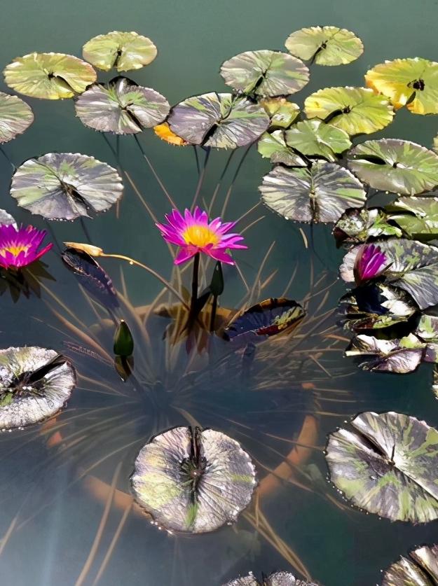 辽宁省盘锦市有什么区,浅谈全国各省份