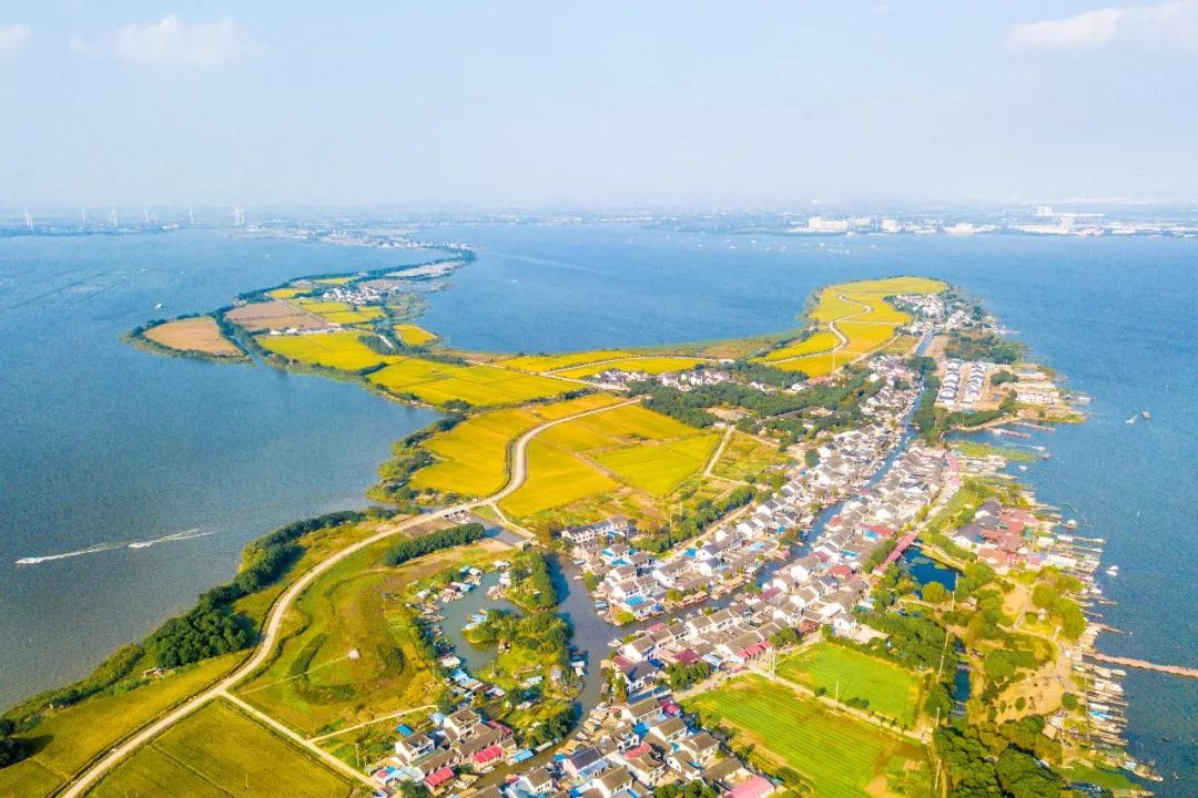 苏州赏花推荐景点有哪些,苏州赏花踏青攻略