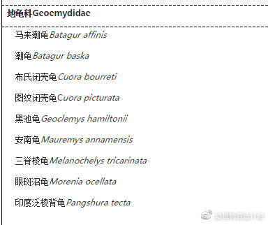 匠志萌宠乐园教学,匠志萌宠