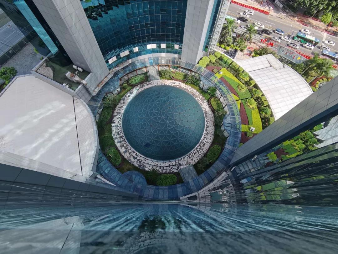 羊驼雅思报考,羊驼雅思网课