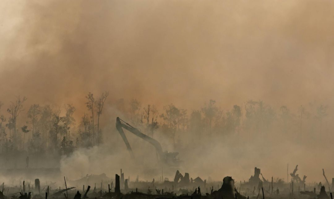 新加坡烟霾问题“冲”出南洋,登上中国高考试卷......