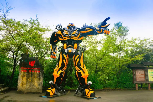 武隆夏季探秘奇特的地缝峡谷,武隆探秘