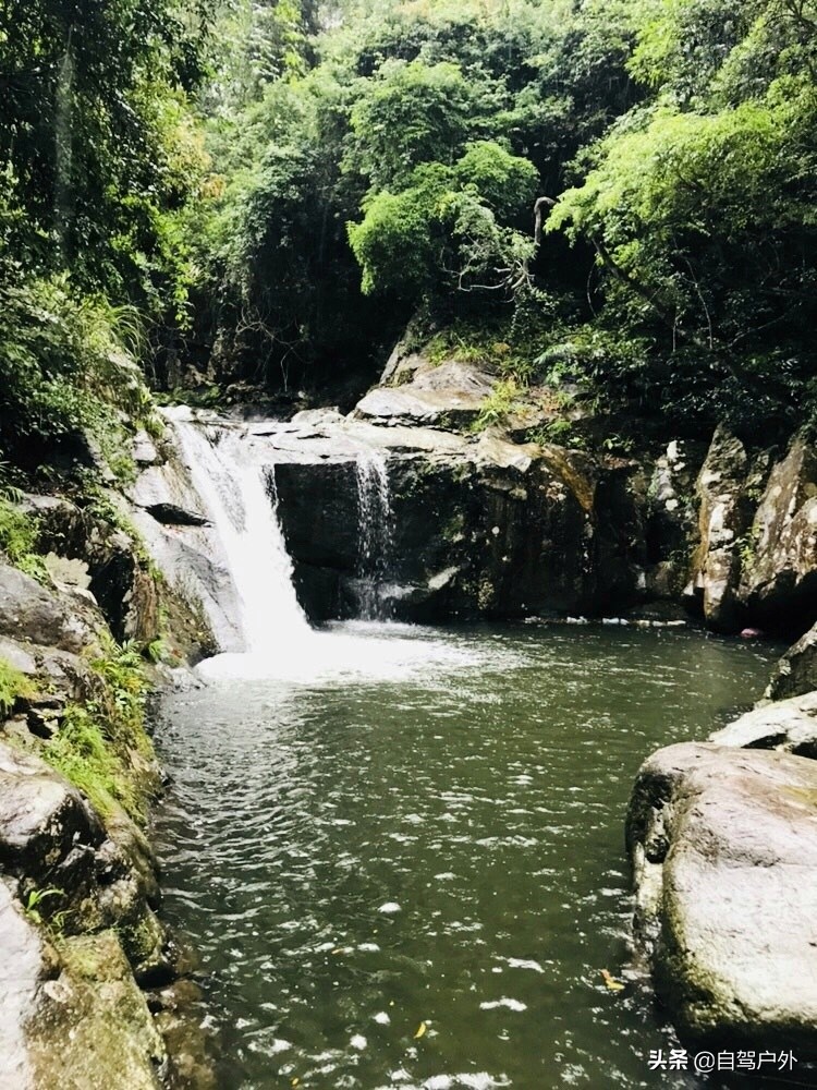 惠州明月山庄露营,罗浮山休闲竹林露营地