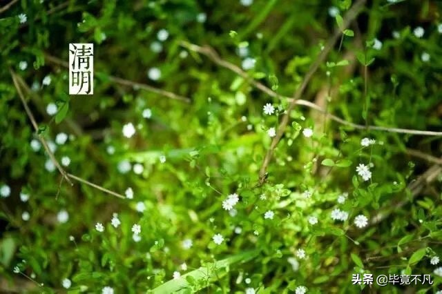 关于清明节的古诗词朗诵,清明节的童谣俗语古诗词