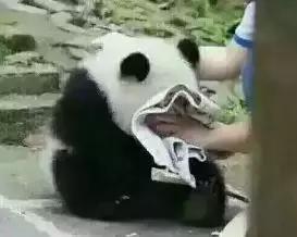 adobe3d软件可以建模吗,adobe3d能做室内效果图吗