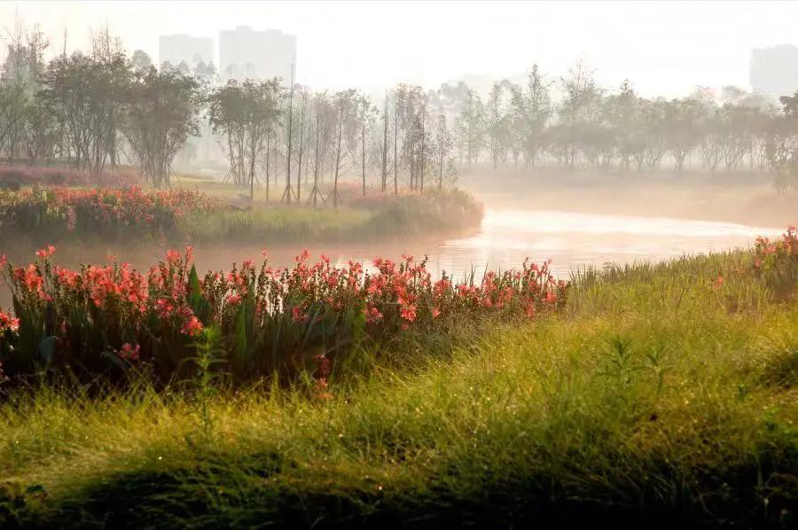 青白江十大健身地,青白江体育