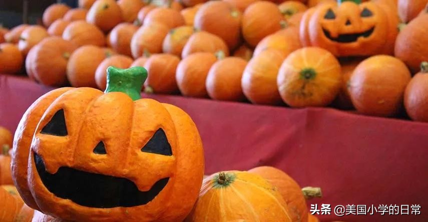 一个南瓜引发的学习激情，为何让美国孩子如此着迷？