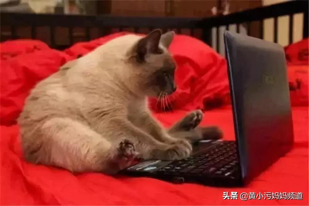 女子33岁怀孕六次流产三次,37岁女子怀孕25次均流产原因曝光