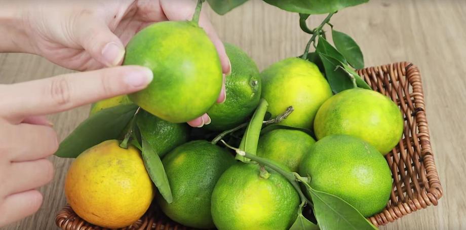 橘子甜不甜看这里就知道,橘子甜不甜看这几点