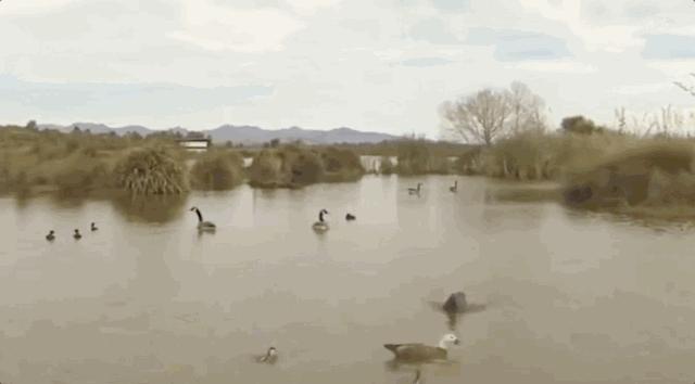 被囚34年取精，被迫亲手杀死爱子，最后只能挣扎着死去…