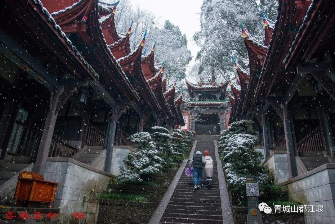 无雪不成冬,都江堰玩雪一日游