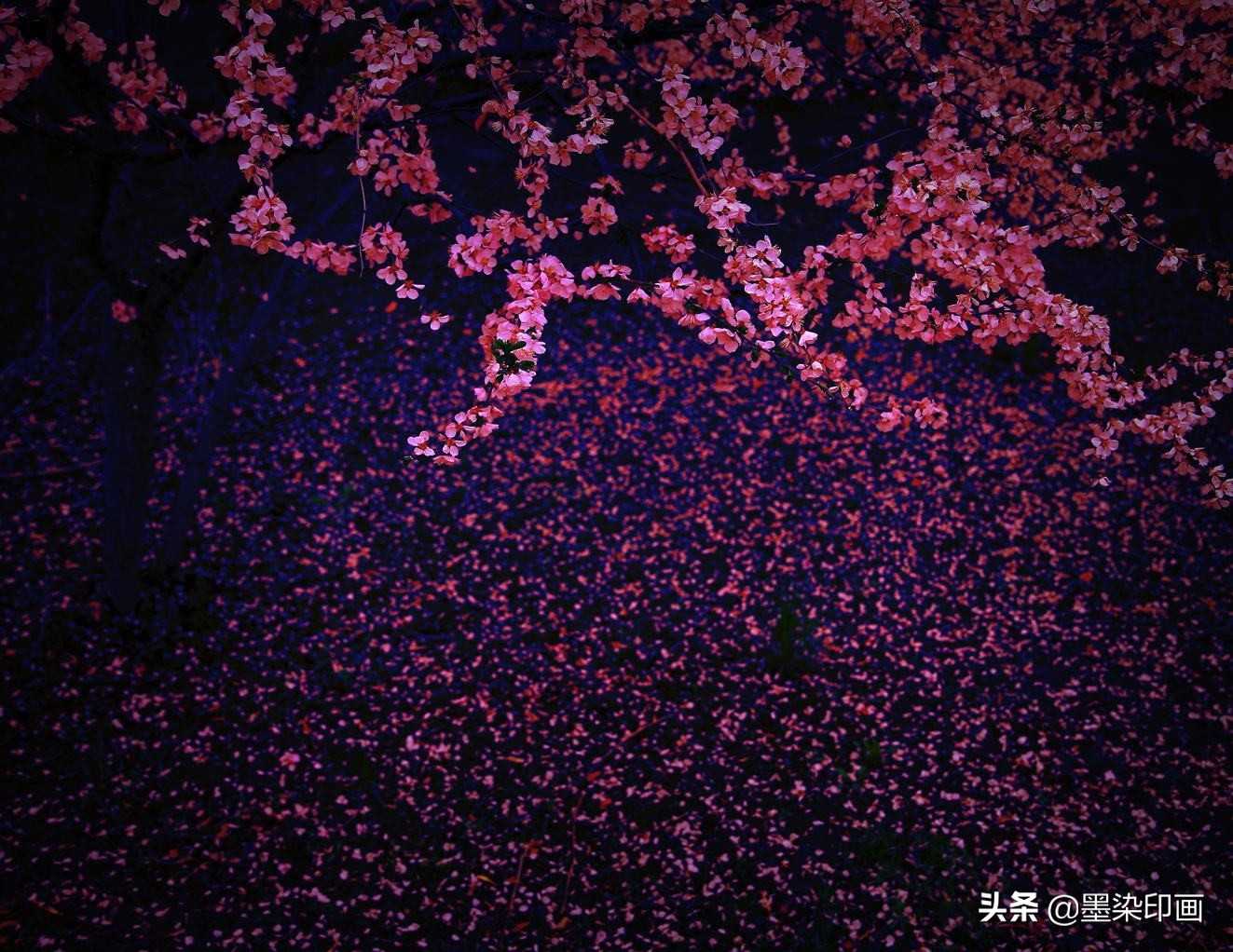 春雨如金，如何拍出春雨的“诗情画意”？5个思路拍好春雨