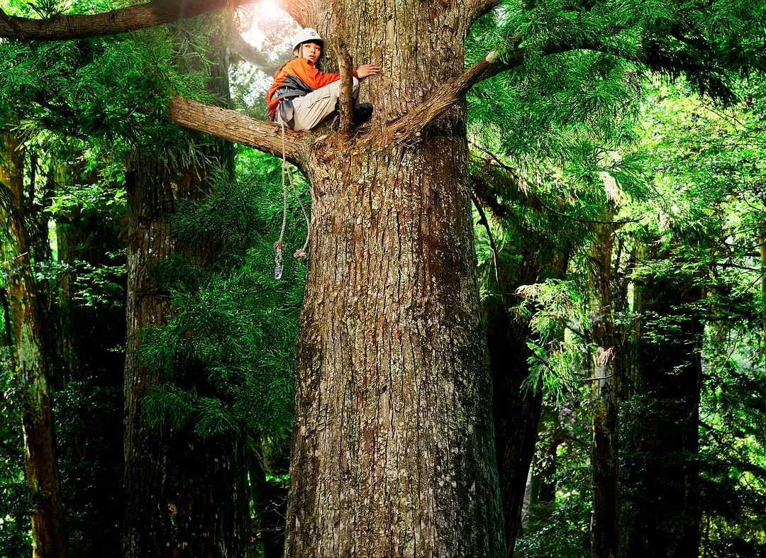 5部爆笑喜剧片拯救不开心,一部被遗忘的爆笑喜剧片
