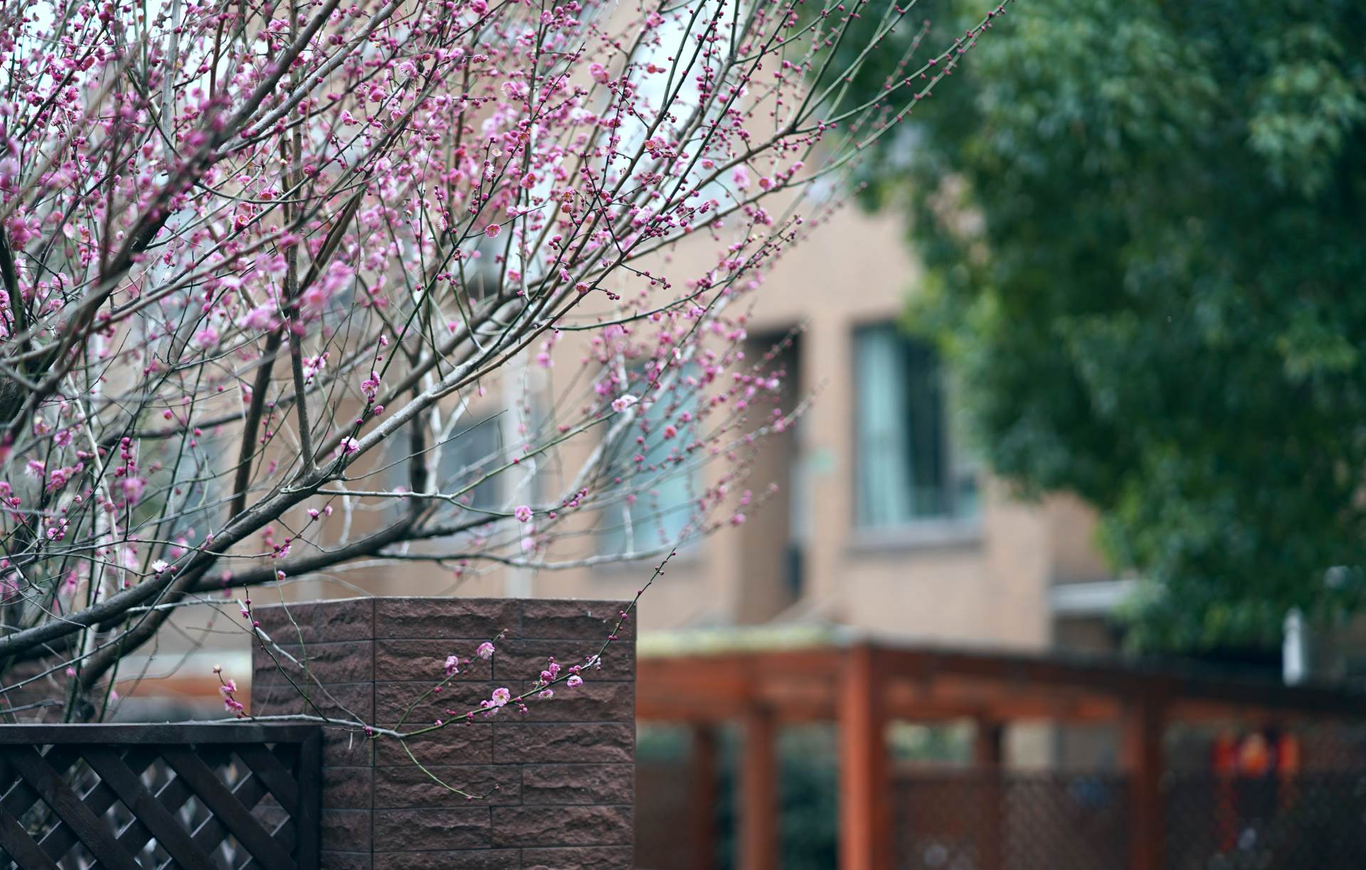 新手小白必备的相机配件,新手推荐买的相机配件