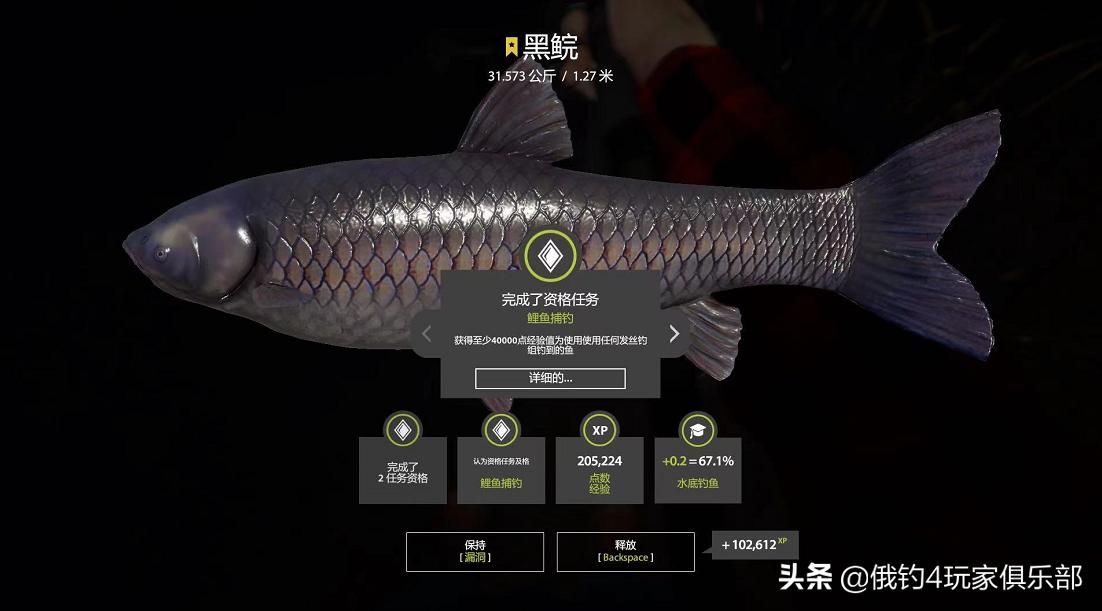 俄罗斯钓鱼4丨18图,碰瓷31K大黑鲩+31K无磷鲤