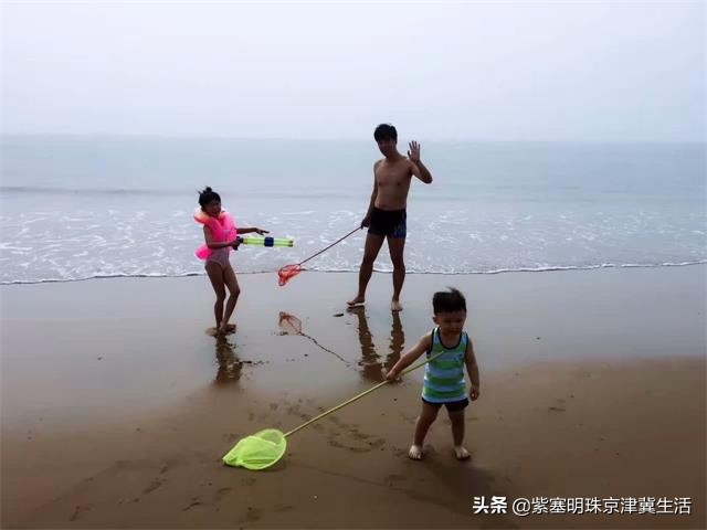 海边可以赶海吃住玩一体的农家院,秦皇岛黄金海岸牧海农家院