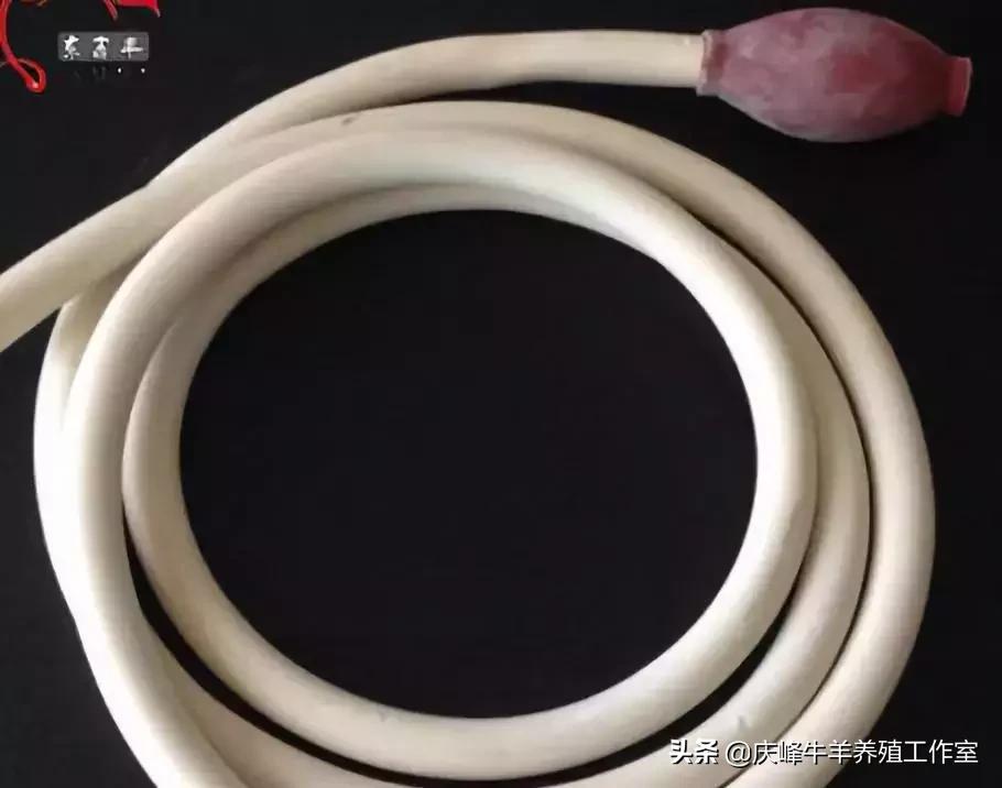 给牛灌药的正确方法,牛灌药呛肺了啥症状