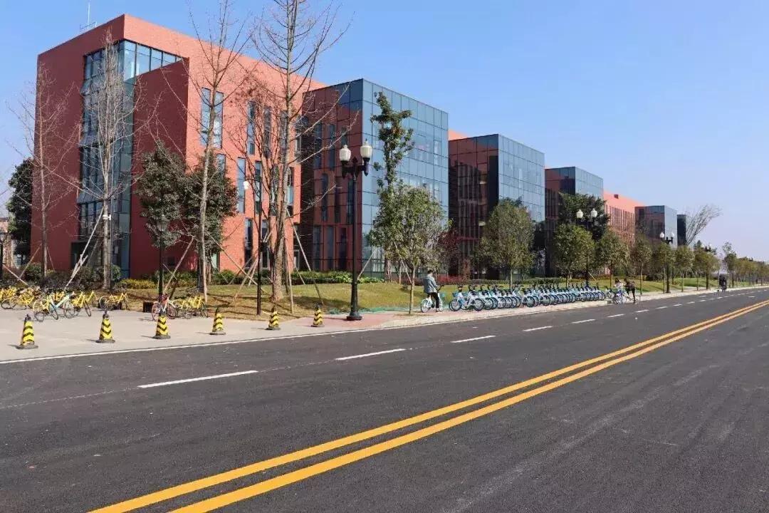 鲜橙攻略丨成都大学校园环境篇
