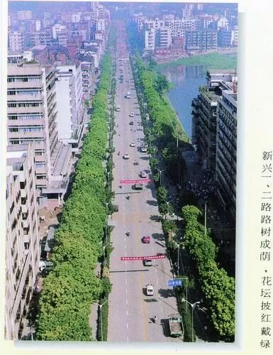 广西梧州1997年身份证,身份证是1999年的照片