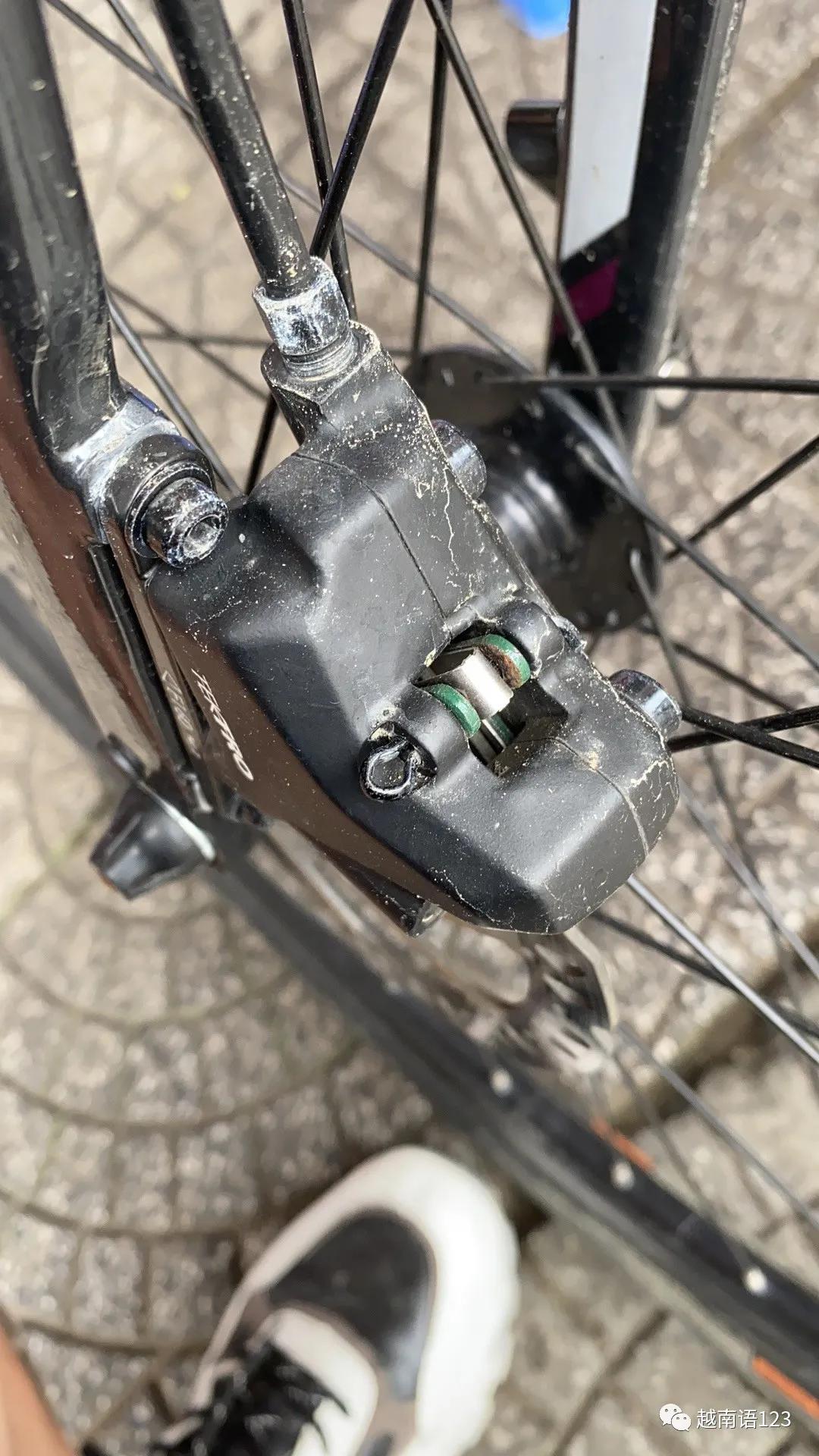 越南50公斤的鸡,越南海鲜冻品