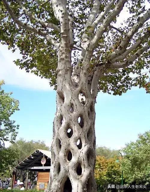 最新世界十大“怪”，最后一个太绝了！